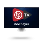 IBO Player Activation